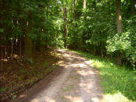unterwegs auf dem Schnepper-Weg durch die Hollau im Juni 2008