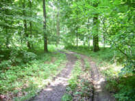 der Schnepper-Weg durch das Mertel